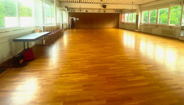 Dance for your Life Sangeet